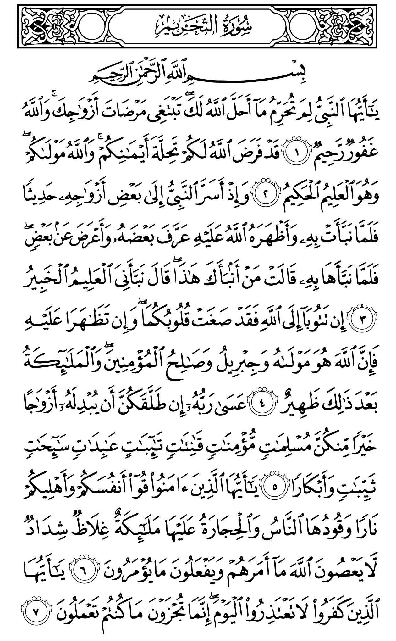 Mushaf page 560